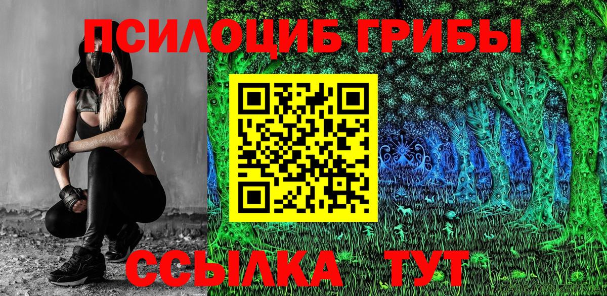 Псилоцибиновые грибы Magic Shrooms  Вход с VPN  Галлюциногенные грибы Psilocybine cubensis  купить наркотики сайты  Северск 