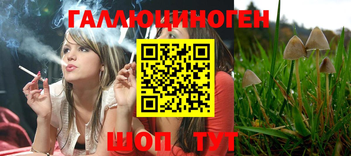 Галлюциногенные грибы мухоморы Северск